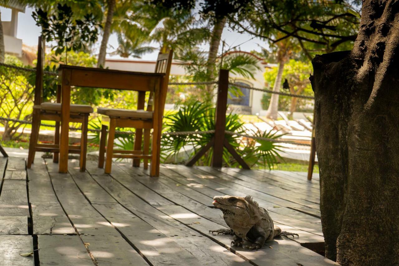 Marina Paraiso Isla Mujeres Hotel المظهر الخارجي الصورة